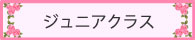 ジュニア（研究生）クラス